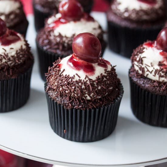 Black Forest Chocolate Cupcakes - Recipe photo by sugarsaltmagic
