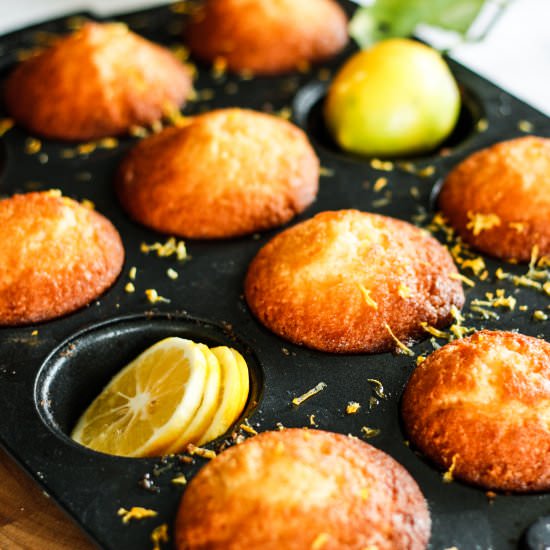 Tangy Lemon Muffins - Recipe photo by LIFESTYLE HOME HEALTH