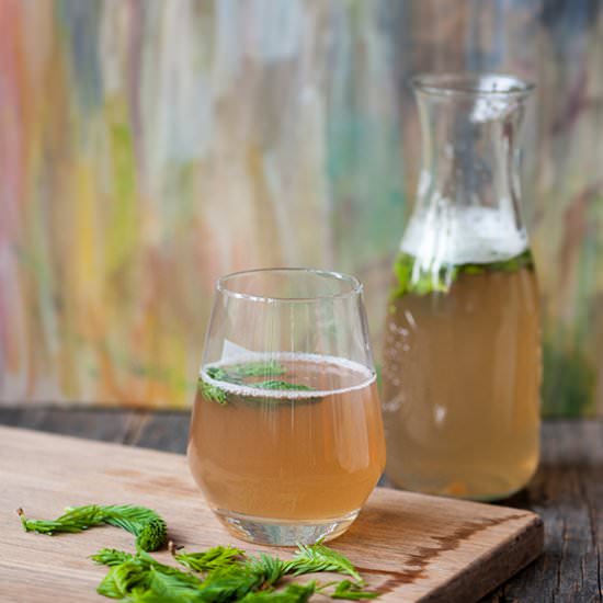 Pine needle syrup - Recipe photo by gabilupu
