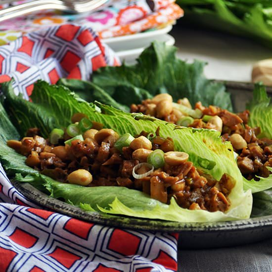 Asian Chicken Lettuce Wraps - Recipe photo by A Little and A Lot