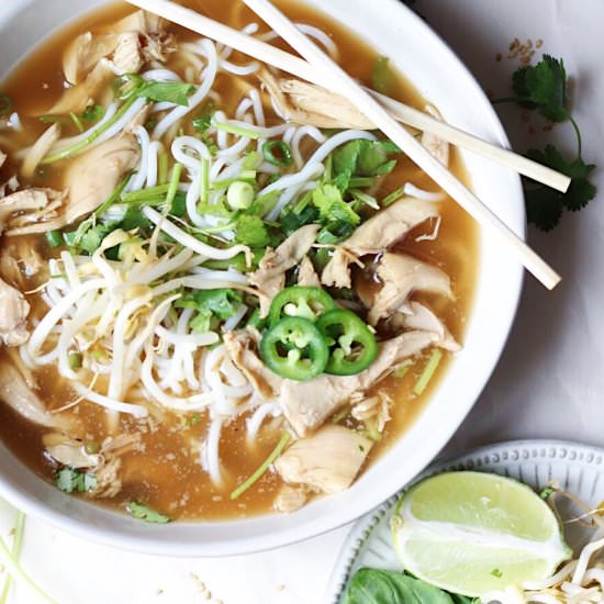 Easy Chicken Pho - Recipe photo by thygoodness