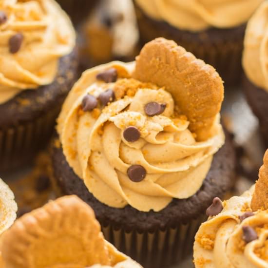Chocolate Cookie Butter Cupcakes - Recipe photo by thegoldlininggirl