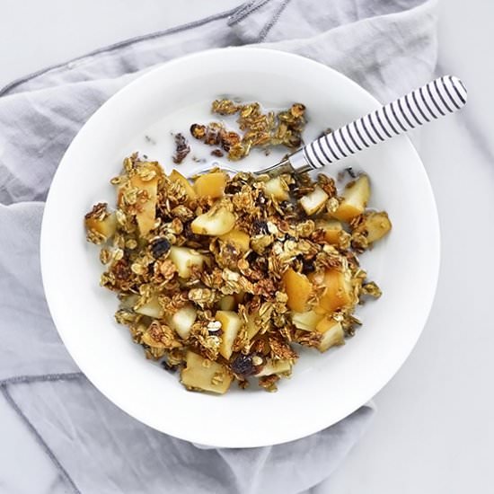 VEGAN APPLE CRISP - Recipe photo by BrightBird