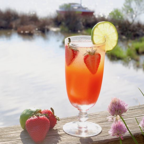 Strawberry Tarragon Lime Cocktail - Recipe photo by the good eats co