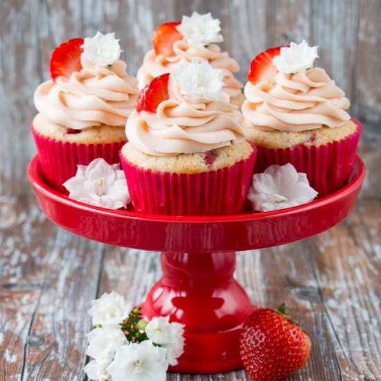strawberry cupcakes - Recipe photo by littlesweetbaker