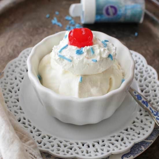 Vanilla Ice Cream For One - Recipe photo by One Dish Kitchen