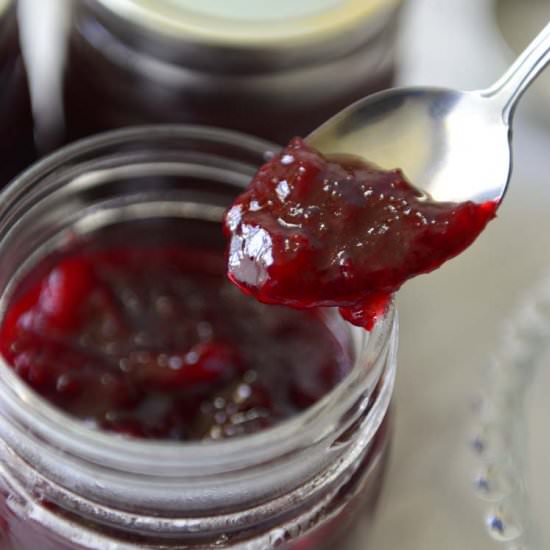 Plum Chutney - Recipe photo by OvenTales