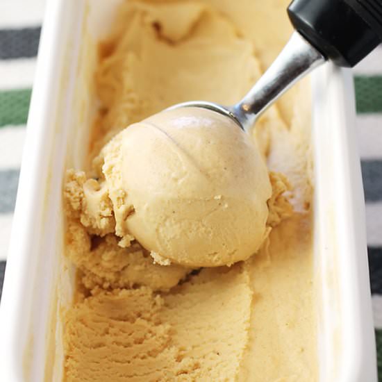 Kinako ice cream - Recipe photo by Food Gal