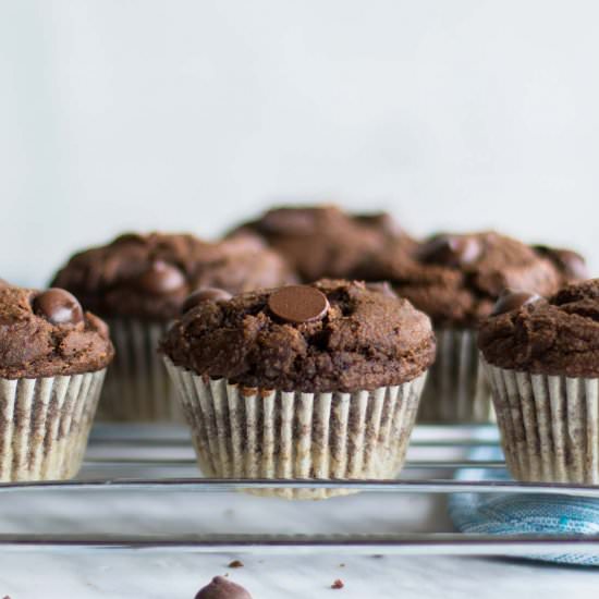 Healthy Double Chocolate Muffins - Recipe photo by SunkissedKitch