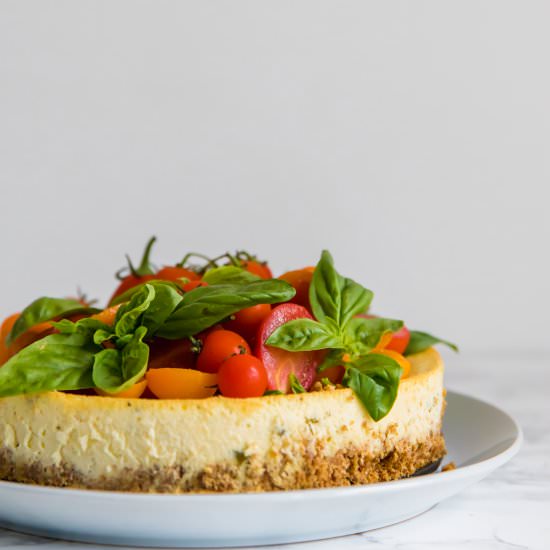 Tomato Basil Savory Cheesecake - Recipe photo by baking-ginger