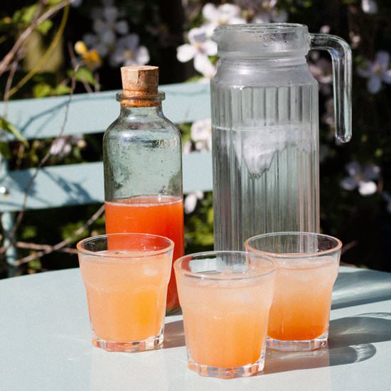 Rhubarb Cordial - Recipe photo by Recipe Crumbs