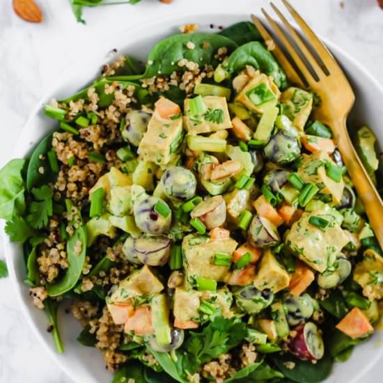 Vegan Curried Seitan Salad - Recipe photo by emilieeats