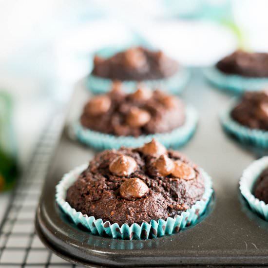 Double Choc Zucchini Muffins - Recipe photo by My Kids Lick The Bowl