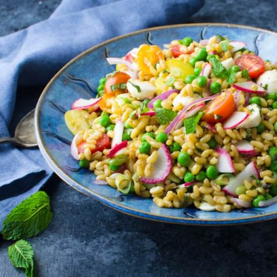 Ancient Grains Salad - Recipe photo by garlic and zest