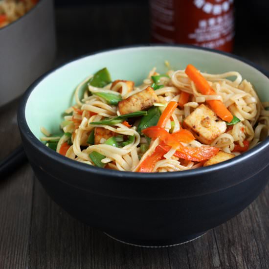 Tofu Vegetable Lo Mein - Recipe photo by FoodFanatical