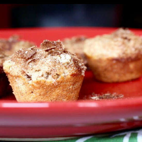 Cinnamon Spice Muffins - Recipe photo by AmyGorinNutrition