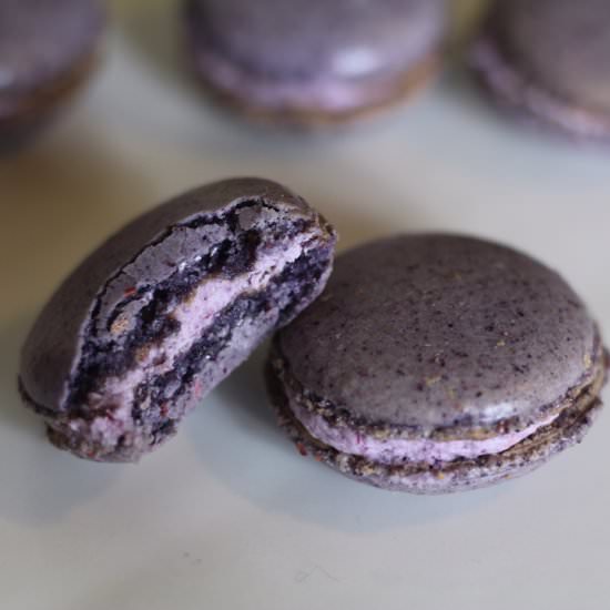 Blueberry Cheesecake Macarons - Recipe photo by sisterdiy
