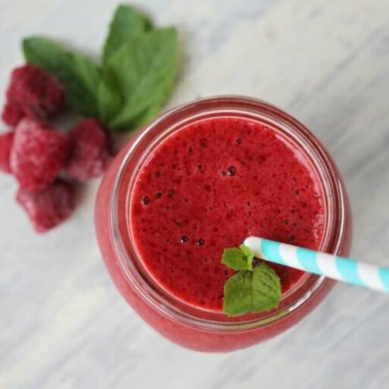 Homemade Fruit Slushies - Recipe photo by theprairiehomestead