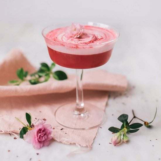 Vanilla Hibiscus Pisco Sour - Recipe photo by theblondielocks
