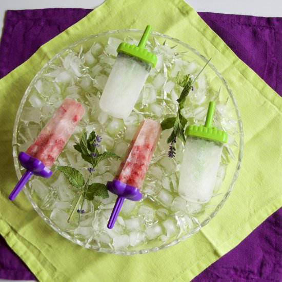 Poptails: Alcoholic Popsicles - Recipe photo by History By the Plate