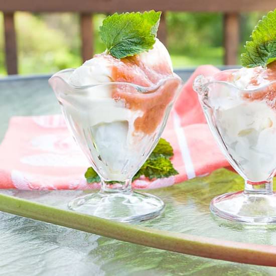 Rhubarb Sauce - Recipe photo by iwilkerson
