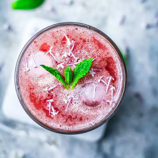 Honey Rhubarb Lemonade - Recipe photo by occasionallyeggs