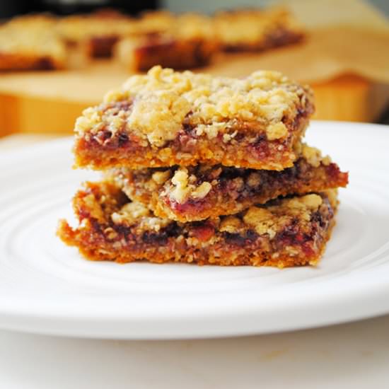 Raspberry Oat Bars - Recipe photo by The Anchored Kitchen