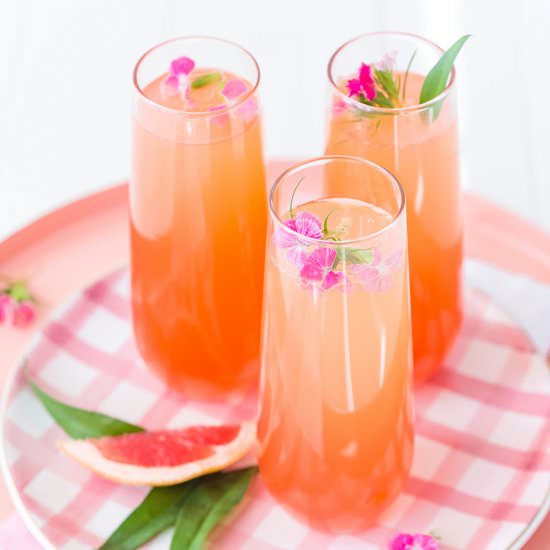 Citrus Champagne Punch - Recipe photo by Pizzazzerie