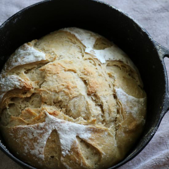 Crusty Sourdough Bread - Recipe photo by kitchencoup