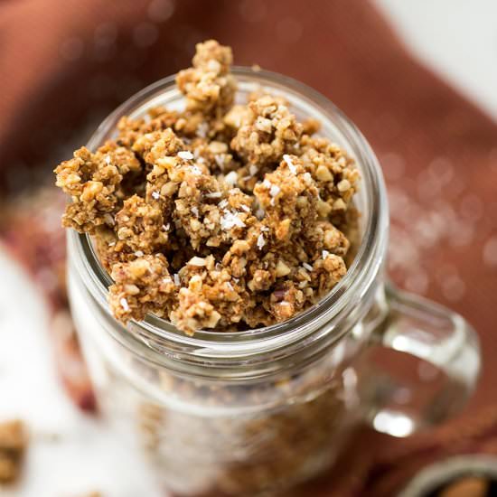 Grain-Free Granola - Recipe photo by Kiwi and Carrot