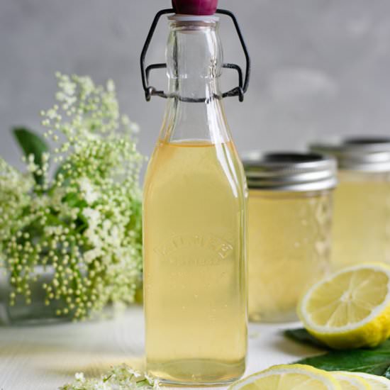 Classic Elderflower Cordial - Recipe photo by AnnaBanana