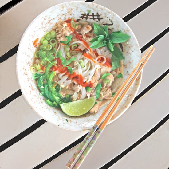 Slow-Cooker Rotisserie Chicken Pho - Recipe photo by Flipped-Out Food