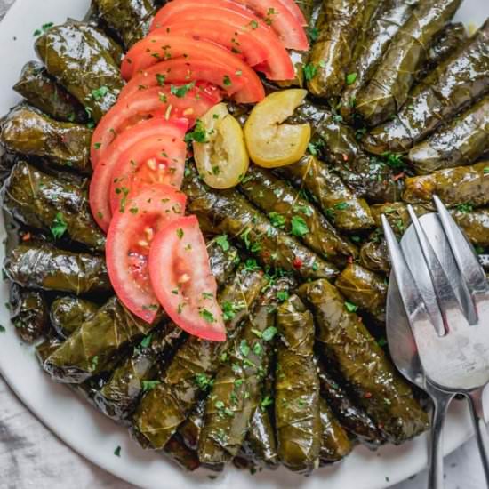Vegetarian Stuffed Grape Leaves - Recipe photo by feelgoodfoodie1