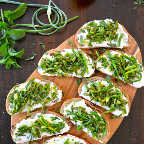 Garlic Scape & Ricotta Crostini - Recipe photo by Wanderings in my Kitchen