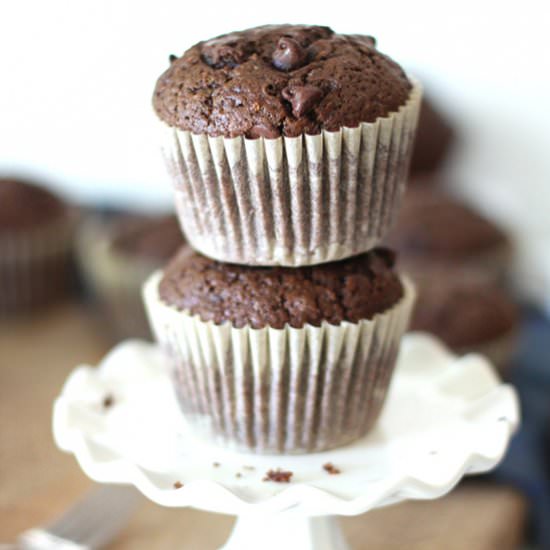 Chocolate Zucchini Muffins - Recipe photo by suebeehomemaker