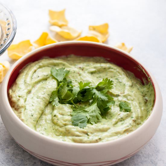 Creamy Cilantro Avocado Dip - Recipe photo by Macheesmo