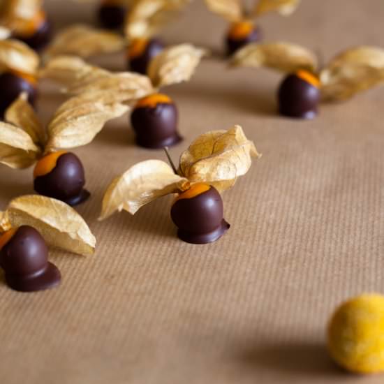 Chocolate Dipped Physalis Berries - Recipe photo by fotofeedme
