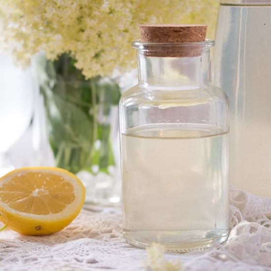 Elderflower Syrup or Cordial - Recipe photo by adinutza