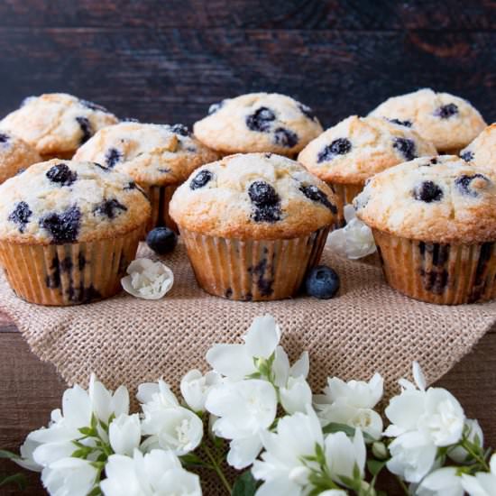 best blueberry muffins - Recipe photo by littlesweetbaker