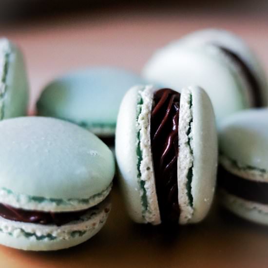 Mint Chocolate Macaron - Recipe photo by KoalifiedBaking