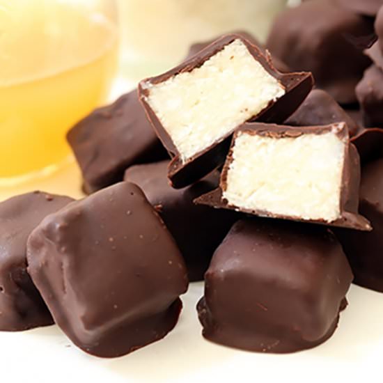 Dark Chocolate Coconut Bites - Recipe photo by The Harvest Kitchen