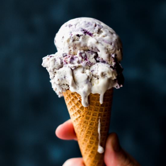 Blueberry Crumble Ice Cream - Recipe photo by sallysbakingaddiction