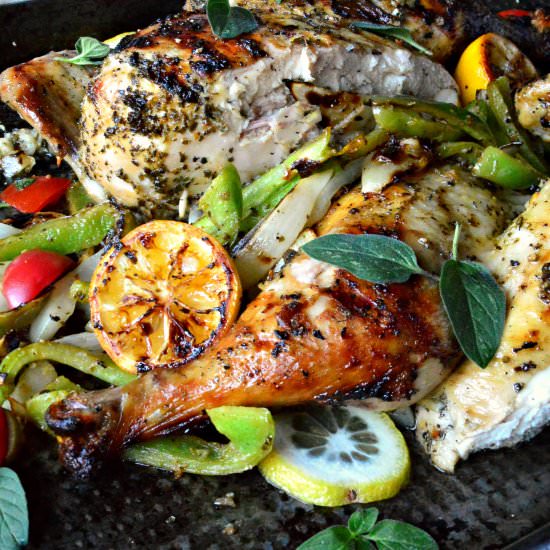 Grilled Lemon Oregano Chicken - Recipe photo by thisishowicook