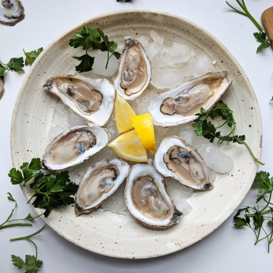 Oysters - Recipe photo by CraftandProcess