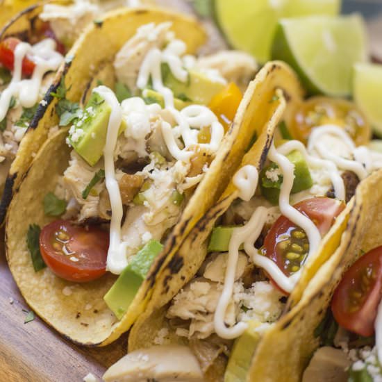Easy Garlic Lime Chicken Tacos - Recipe photo by Cook With Me Darling