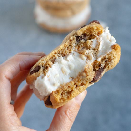 Coconut Chocolate Chip Ice Cream - Recipe photo by wellvegan