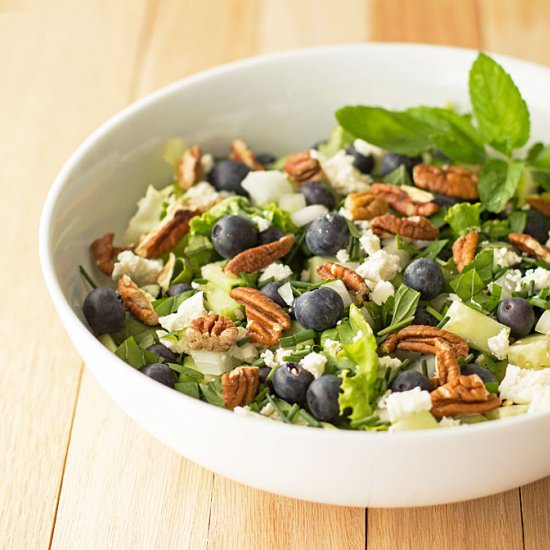Blueberry Pecan Salad - Recipe photo by mjskitchen