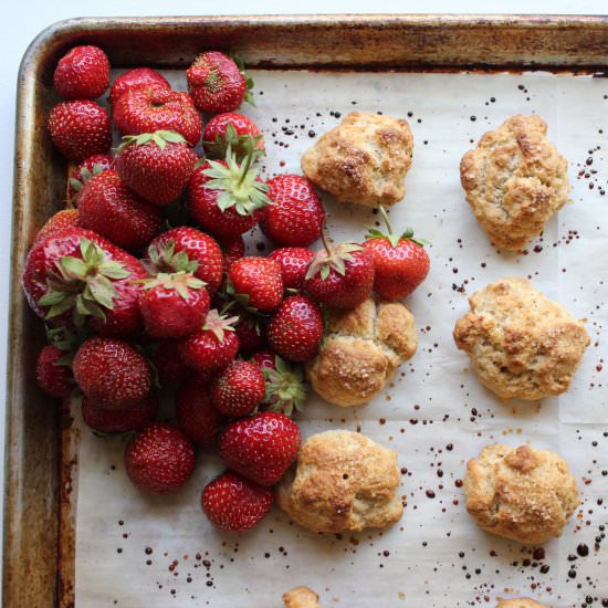 Two-bite strawberry shortcakes - Recipe photo by meandthemoose
