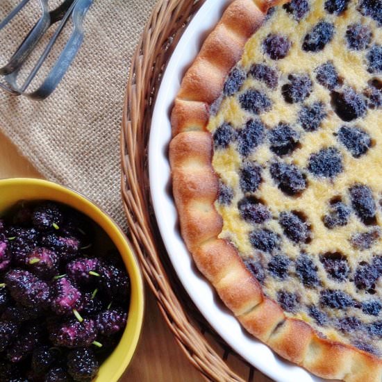 Mulberry Clafoutis - Recipe photo by cookandfeed