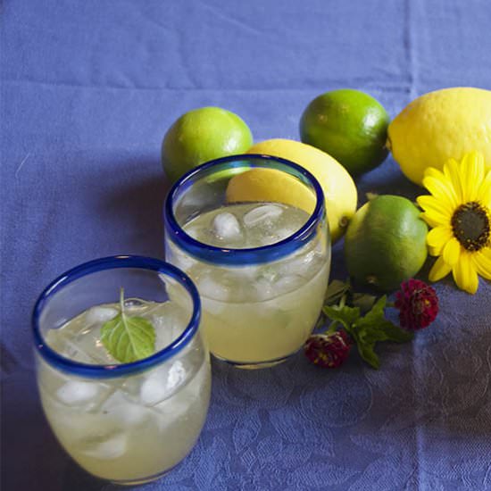 Radically Refreshing Lemonade - Recipe photo by History By the Plate